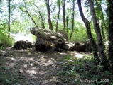 Arlait dolmens - PID:35509