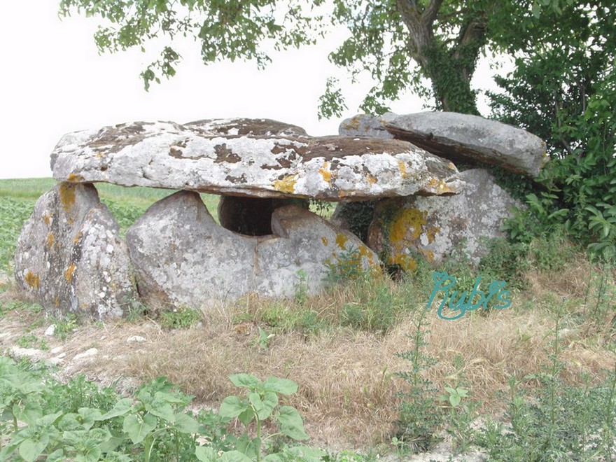 Coming out from the hamlet, the dolmen is on the right under a tree. There is a dirt track to go to it.

Site in Poitou:Vienne (86) France

