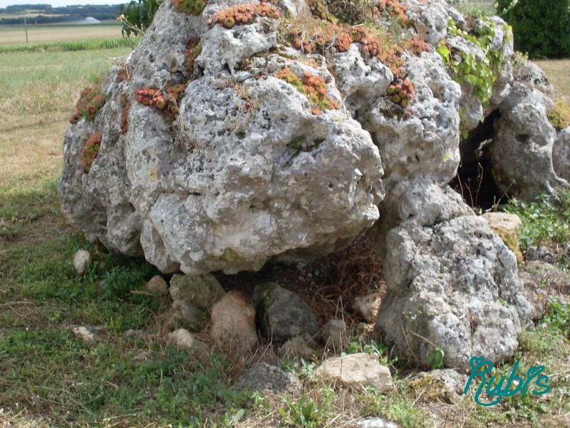 Dolmen de Marsais

Site in Poitou:Charente-Maritime (17) France

