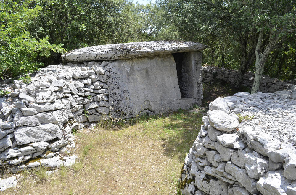 Dolmen Cabane de Faveyrolles