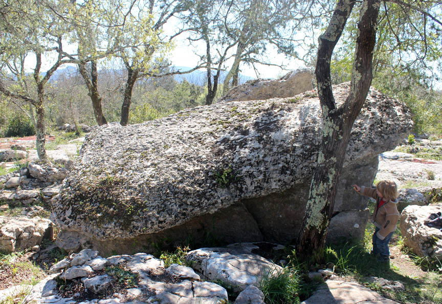 The largest dolmen of the Dolmens du Ranc de Figere north-west part. Dolmen du Ranc de Figère (10)