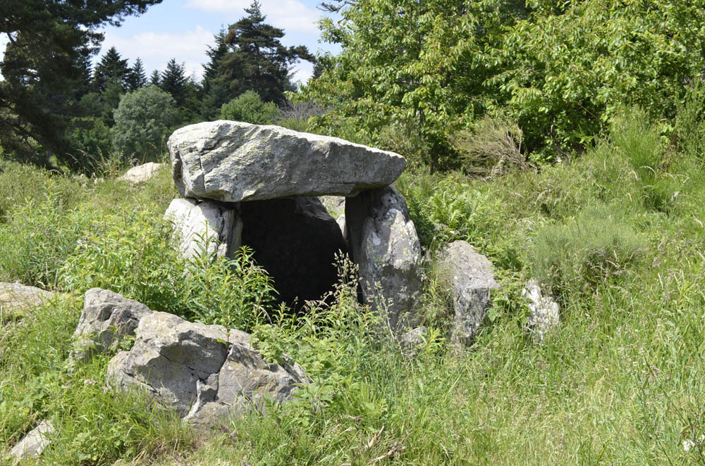 Dolmen des Baumes