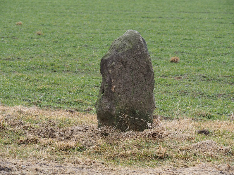 Standing stone of Quellenreuth..