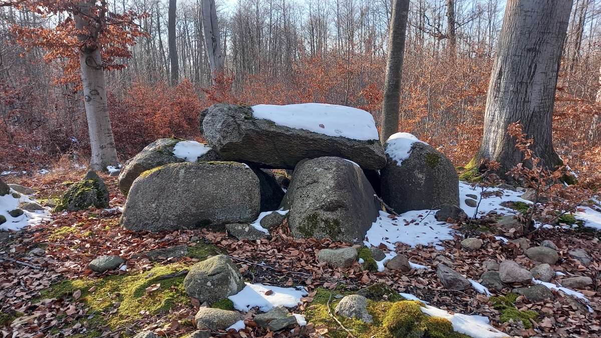 Forst Suckow Dolmen