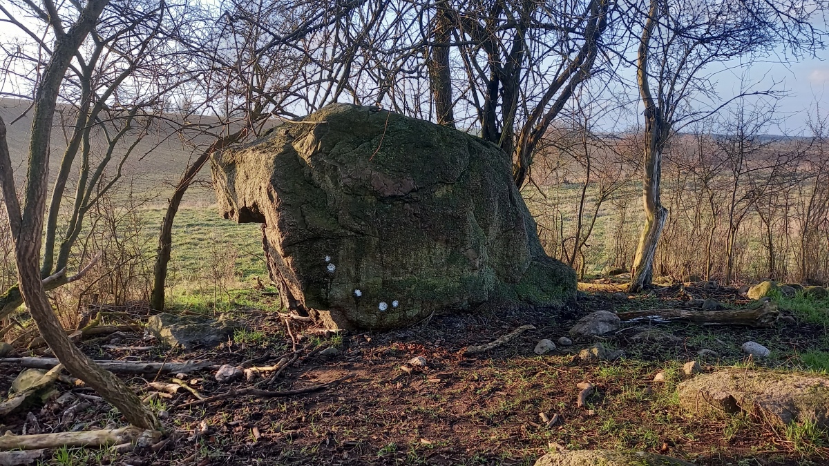 Schälchenstein Stegelitz 3