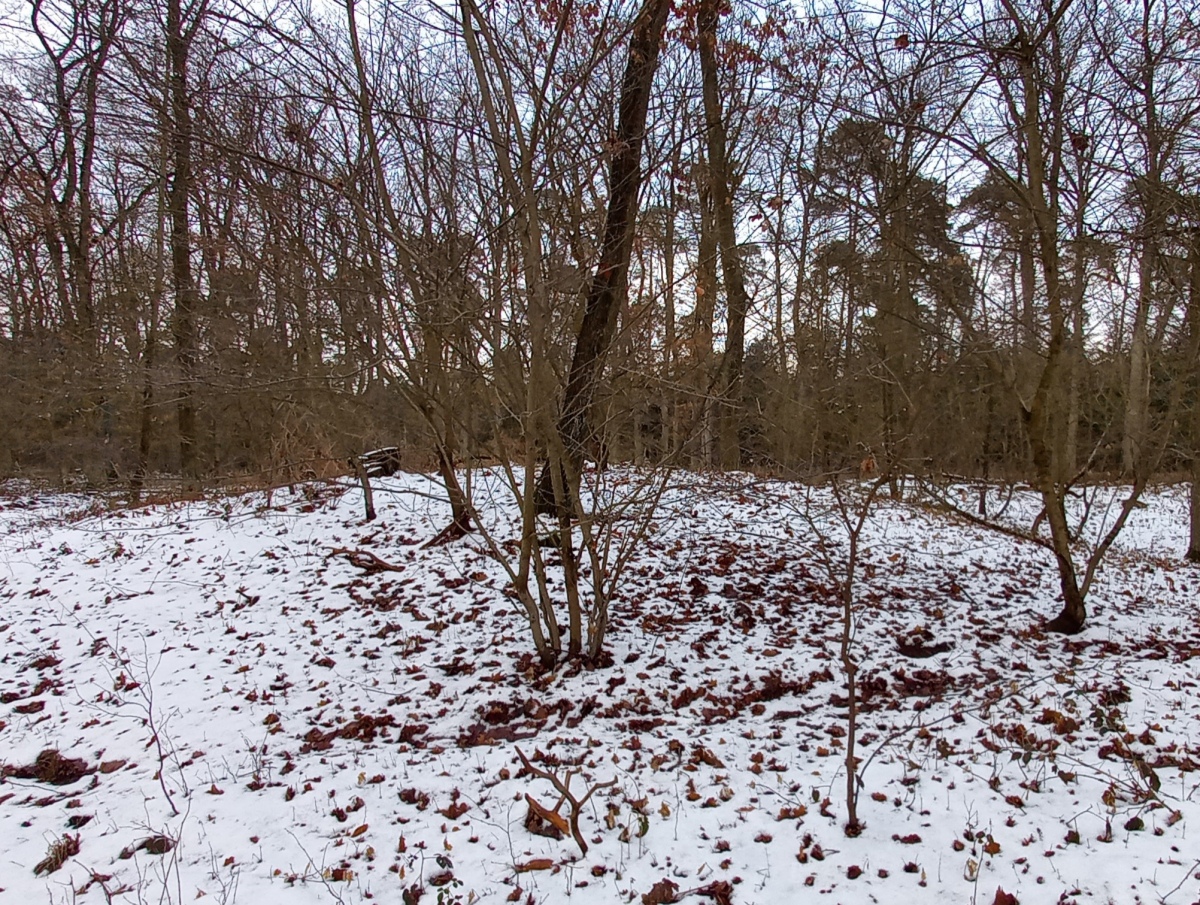 Hügelgräber Heinersdorf bei Schwedt

Picture by Bøddel 04/02-2021