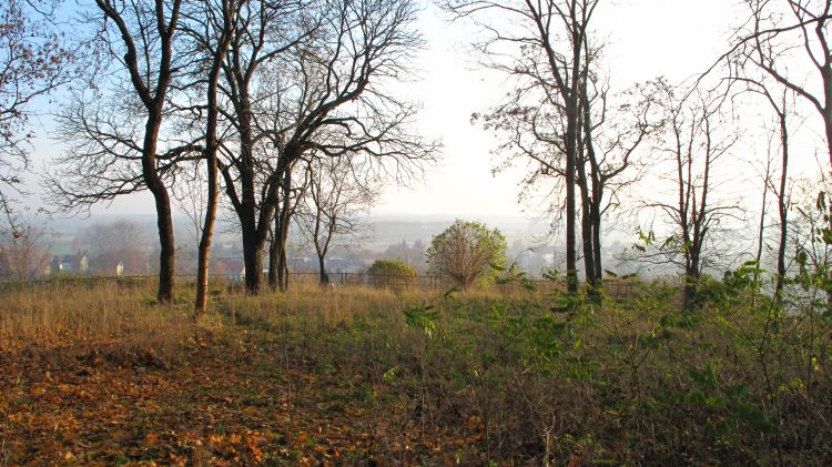 Inside the hillfort.