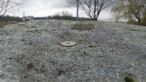 Großer Stein von Criewen - PID:271901