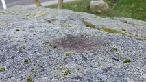 Großer Stein von Criewen - PID:271899