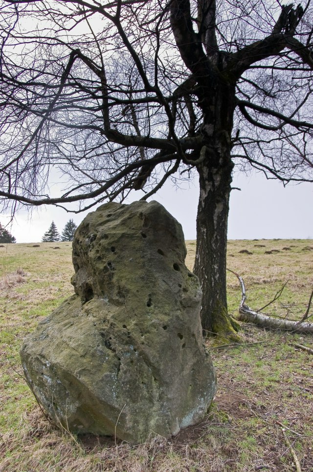 The Standing Stone on the southeast corner of the meadow.