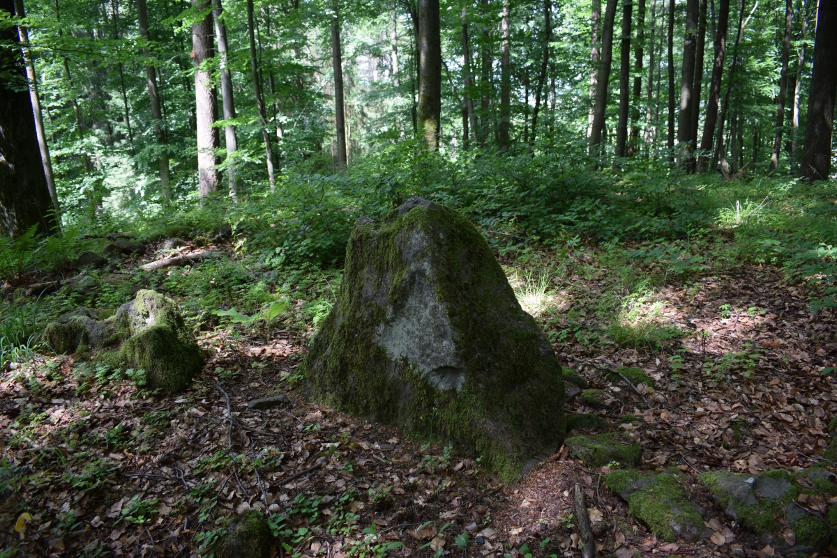 Rossberg Menhir
The menhir was used as a doorpost of the Udenhäuser church
Pic from Juni 2022