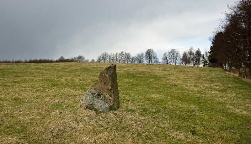 The Standing Stone on the southside of the hill.View to the north. Under the trees in the background there are the other two stones.