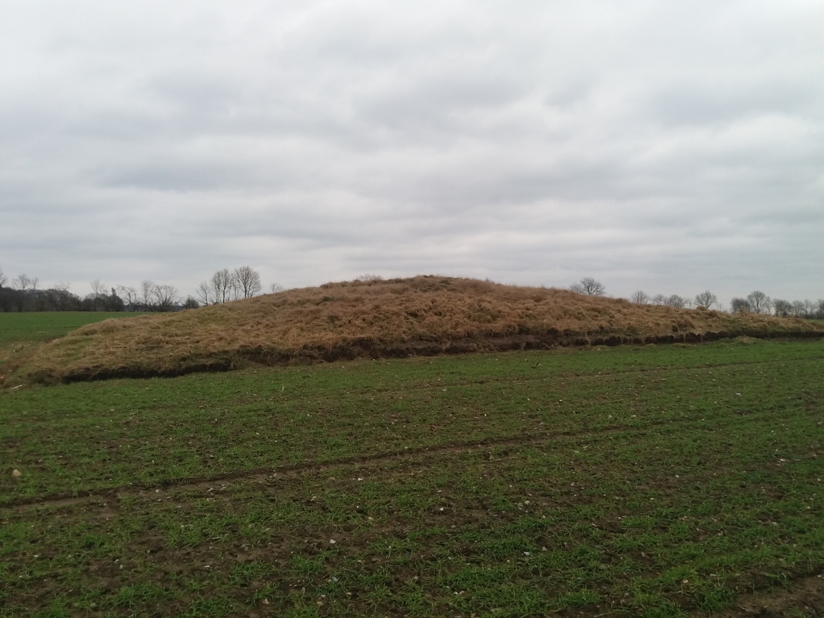 Gräberfeld im Deependahl