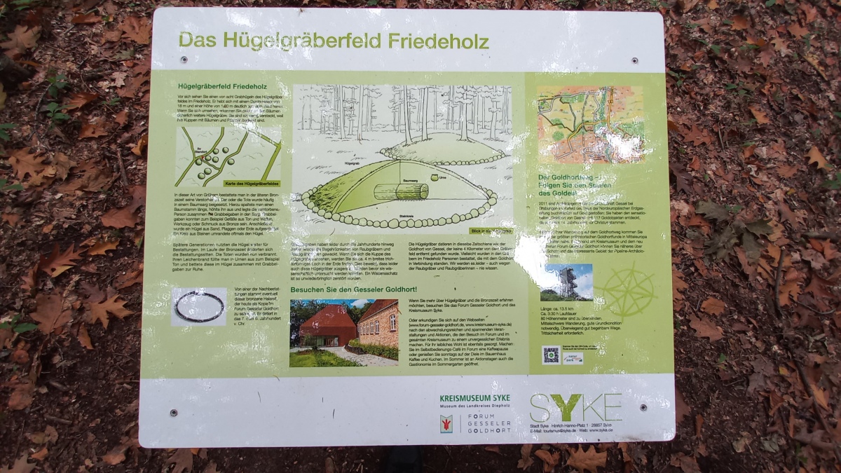 Friedeholz Hügelgräber