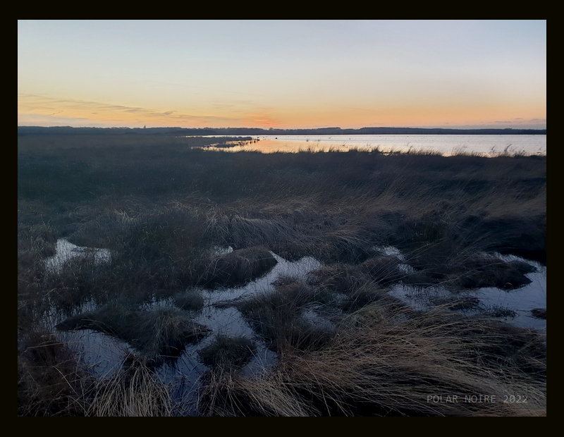 Aschener Moor Bohlenweg Pr VI