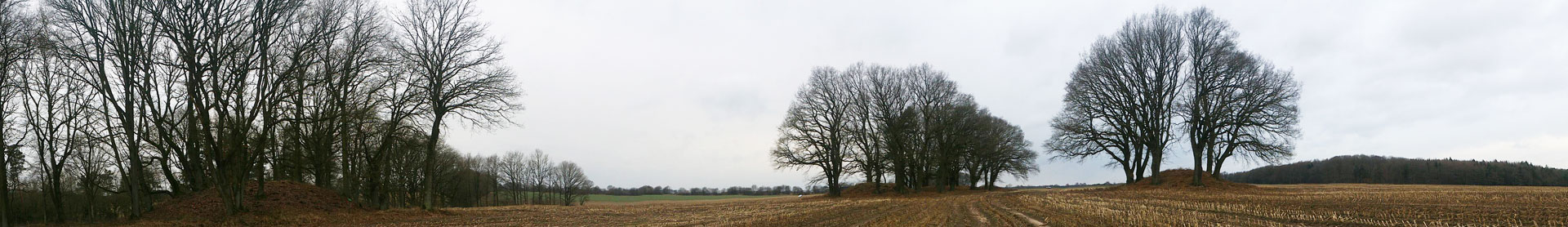 Daudieck Grabhuegelgruppe (Nr. 15-18)