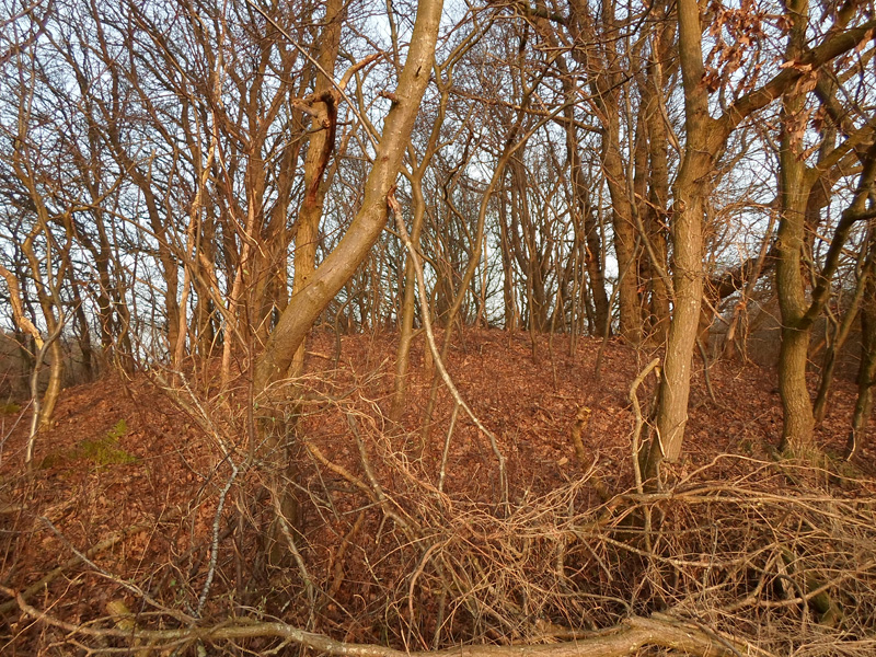 Drei Berge Huegelgraeberfeld bei Berensch