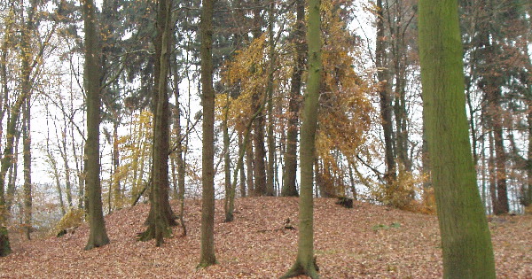 Dübberort Tumulus