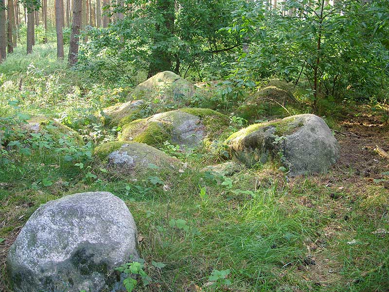 Destroyed Chambered Tomb in the remains of an 18m diameter tumulus, just some 1m high. The remaining stones don't show a recognizable structure.