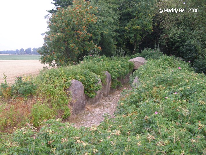 Siddernhausen Grosssteingrab