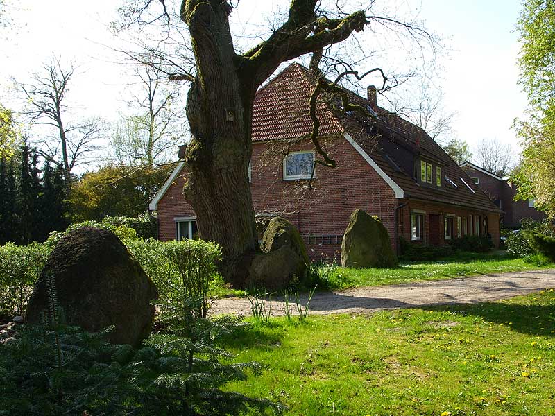 Steinbeck Huenenschloss