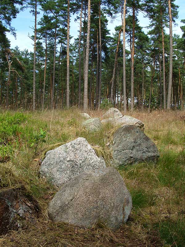 Wittfeitzen Steingrab