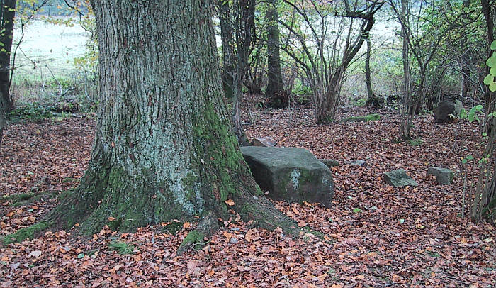 there are some very small stones around the bredenstein. some people interprete these stones as a small stone circle.
