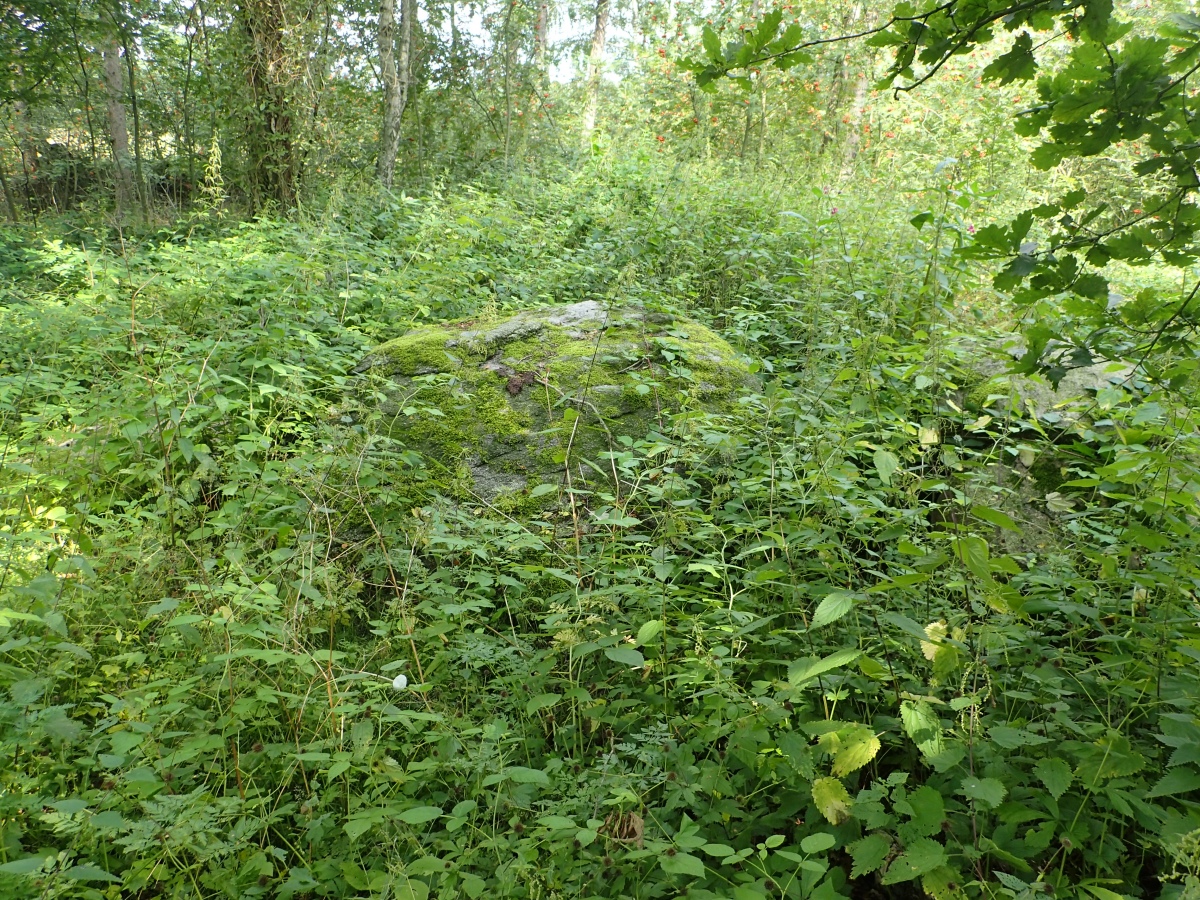 Unfortunately, at time of visit, the site was wholly covered by stinging nettles.