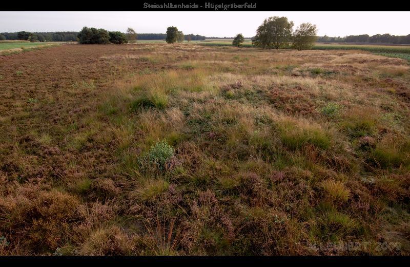 Steinahlkenheide Grabhuegelgruppe