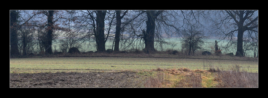 The chambered long barrow viewed from the West. It has preserved 33 out of originally approx. 40 kerbstones, making it one of the best preserved sites in this area. The barrows' earthwork is heavily eroded and partly covered several kerbstones.  Furthermore the site is largely overgrown with ivy, bushes and large oak trees. It is best visible out of growing season. Access is only possible by walk 