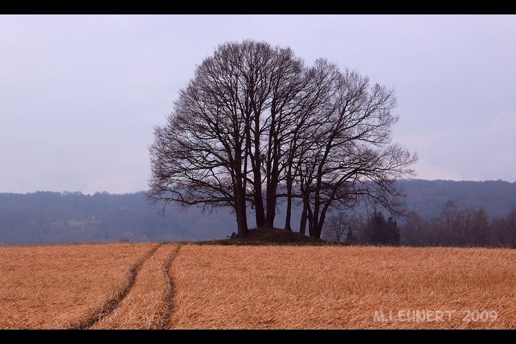 Schwagstorf-Felsen Huegelgrab