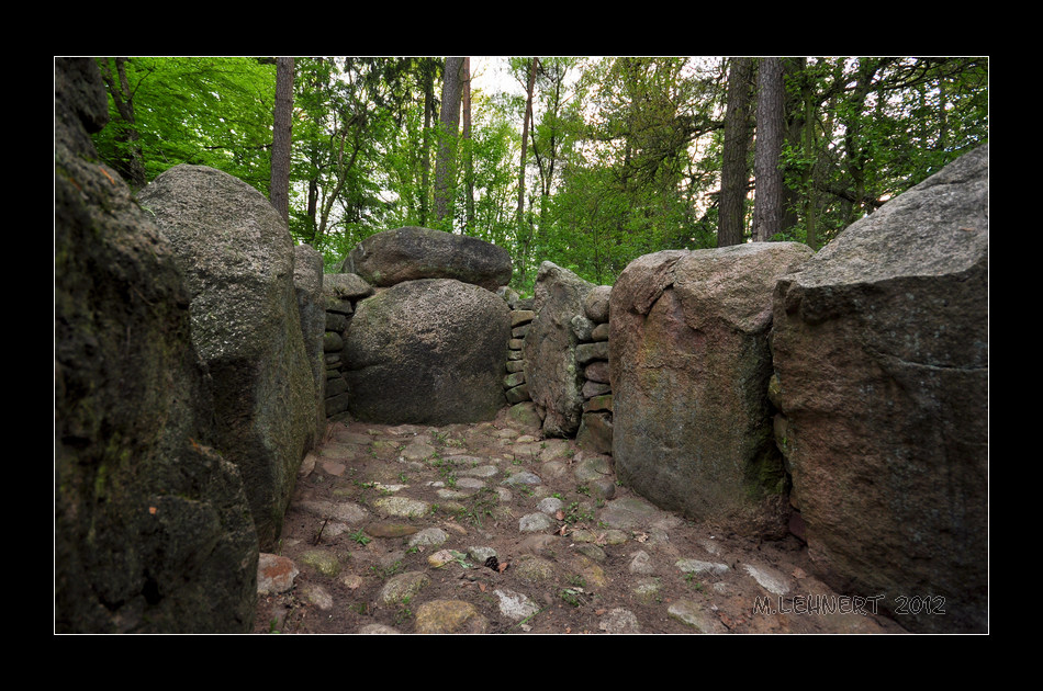 Inside the cist. View North. 


May 2012