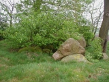 Gross Berssen Steingrab 10 'Deepmoorsteene' - PID:17557