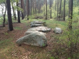 Großsteingrab bei Eversen - PID:226486