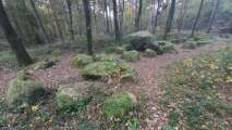 Großsteingrab im Alt-Frerener Forst - PID:267137