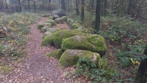 Großsteingrab im Alt-Frerener Forst - PID:267136