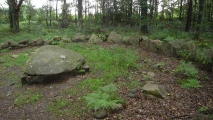 Floegeln Steinkistengrab - PID:49514