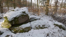 Gienau-Siecke Steingrab 1 - PID:103922