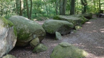 Werlte Steingrab 'De Hoogen Stener' - PID:94439