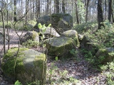 Großsteingrab im Alt-Frerener Forst - PID:175507
