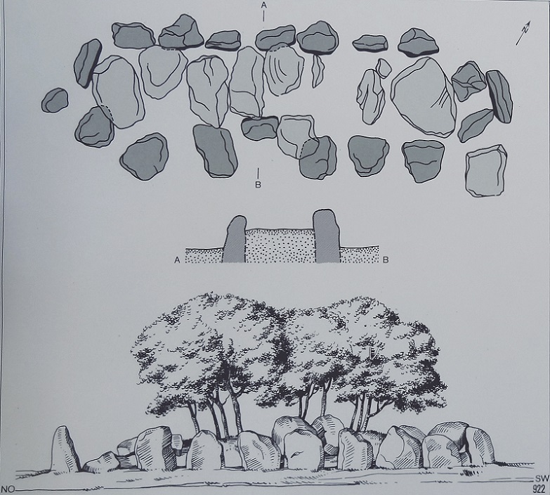 Ground-plan and side view (1927),
Picture credits: Sprockhoff, Atlas der Megalithgräber Deutschlands, 
Teil 3: Niedersachsen (1975)
