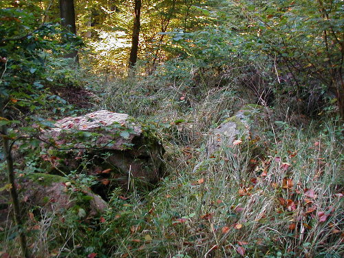 remains of the chambered tomb Nustrow (1)