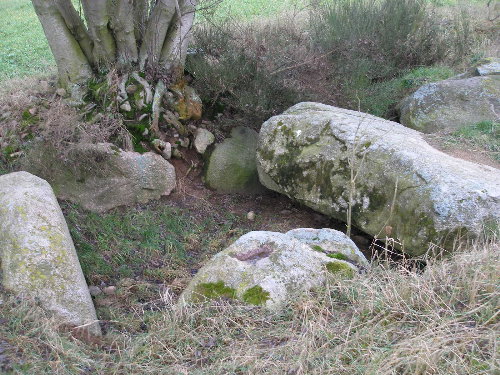 chambered tomb Damerow 1