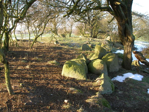 Mechelsdorf Langbett