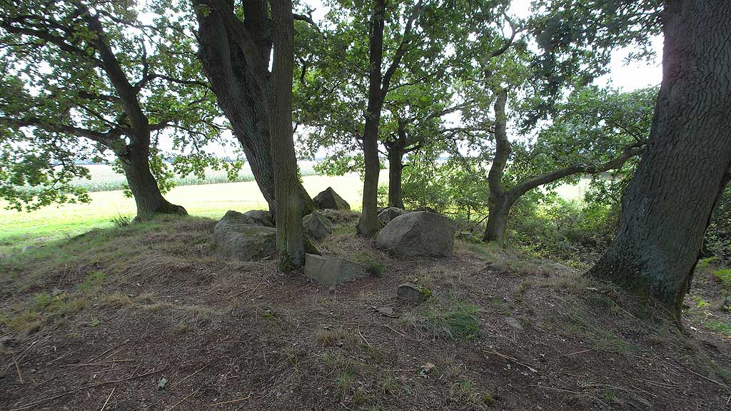 Chambered Tomb in NE-SW orientation.
Most likely it was build with four uprights on both of the long sides of the chamber.
On the NW long side are two uprights in situ.
The other long side also has two stones in position.
Three sunken capstones, the SW one is bursted from explosives.

(That is more or less the description in Sprockhoffs Atlas,
based on Schwiegers visit in 1932)

Now the t