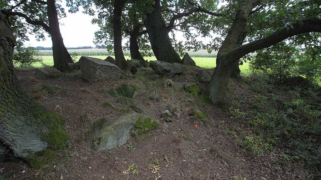 Chambered Tomb in NE-SW orientation.
Most likely it was build with four uprights on both of the long sides of the chamber.
On the NW long side are two uprights in situ.
The other long side also has two stones in position.
Three sunken capstones, the SW one is bursted from explosives.

(That is more or less the description in Sprockhoffs Atlas,
based on Schwiegers visit in 1932)

Now the t