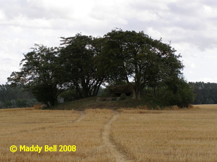 Gaarzer Hof Grossdolmen