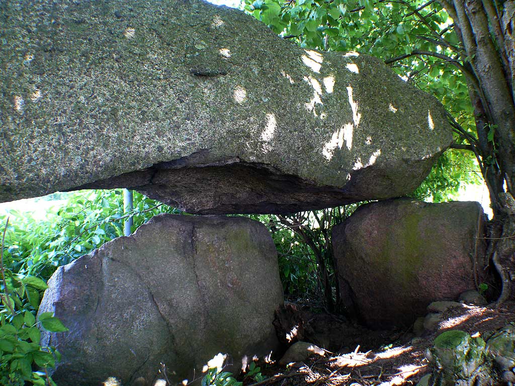 Chambered Tomb in Mecklenburg-Western Pomerania

Remains of a chamber, NE-SW orientation.
Five orthostats and a mighty capstone.
Capstones size 3 x 1.7 x 1m.
The chamber must have been much bigger.

Fortunately you can crawl into this bush and admire the tomb.
But it should be visited in the leaf-free time.
