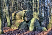 Forst Cammin Dolmen (2) - PID:254852