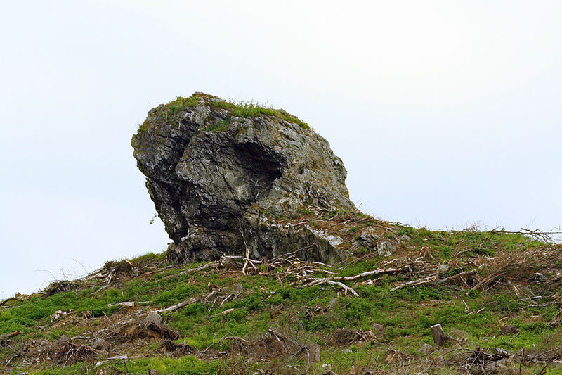 The Strücker Stein is a 6 m high rock outcrop in Olsberg (North Rhine-Westphalia/Germany). It is believed that the site was a pagan sanctuary.

Picture:
By Strücker_Stein.JPG: Martin Lindnerderivative work: Parzi (Strücker_Stein.JPG) [CC BY 3.0], via Wikimedia Commons